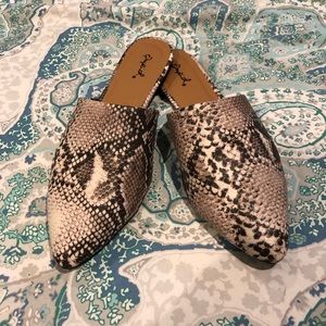 Qupid Snake Skin Mules/Flats 🐍